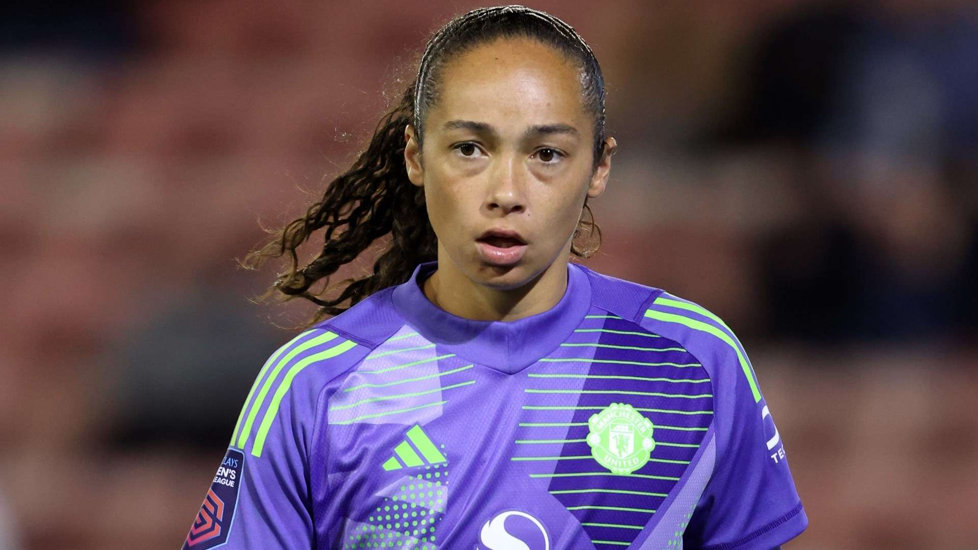 的海滨区域 的海滨区域